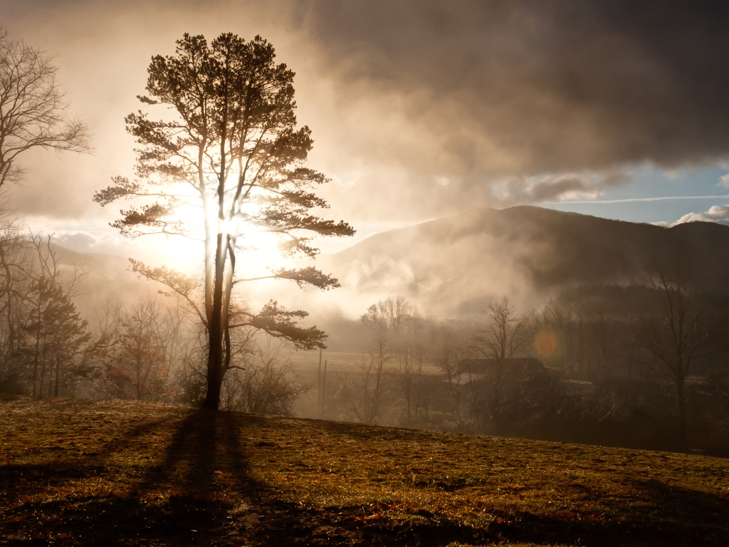 Winter Awakening Winter Awakening