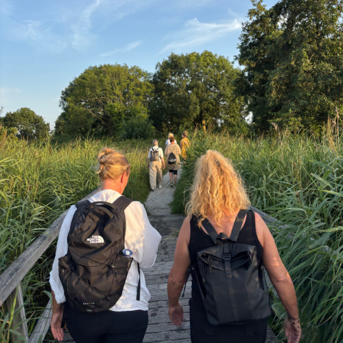 Walk & Talk 